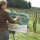 2012 Painting at the Biltmore Vineyards in NC