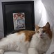 Kitty posing with their painting
